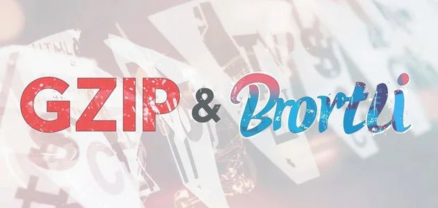 فشرده سازی فایلها با Gzip و Brotli